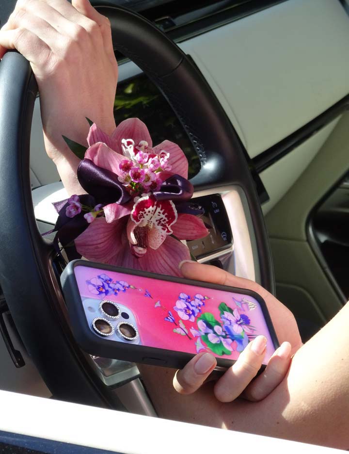 Wildflower Cases Butterfly Dreams iPhone 18 Pro Max Case