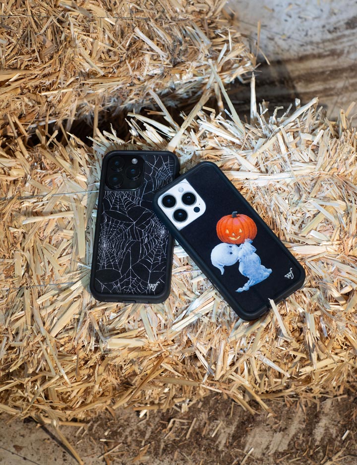 Wildflower Cases Itsy Bitsy Spider iPhone 17 Case